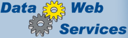 Logo Data Web Services